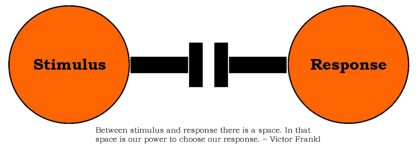 Response. Stimulus response. Картинка stimulus Responsive. Стимул реакция. Stimulus response упражнения.